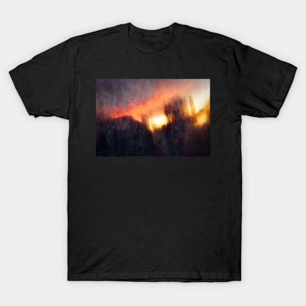 Sunset in Bronze T-Shirt by RJDowns